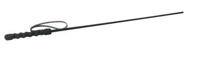 Strict Leather Intense Impact Cane Black