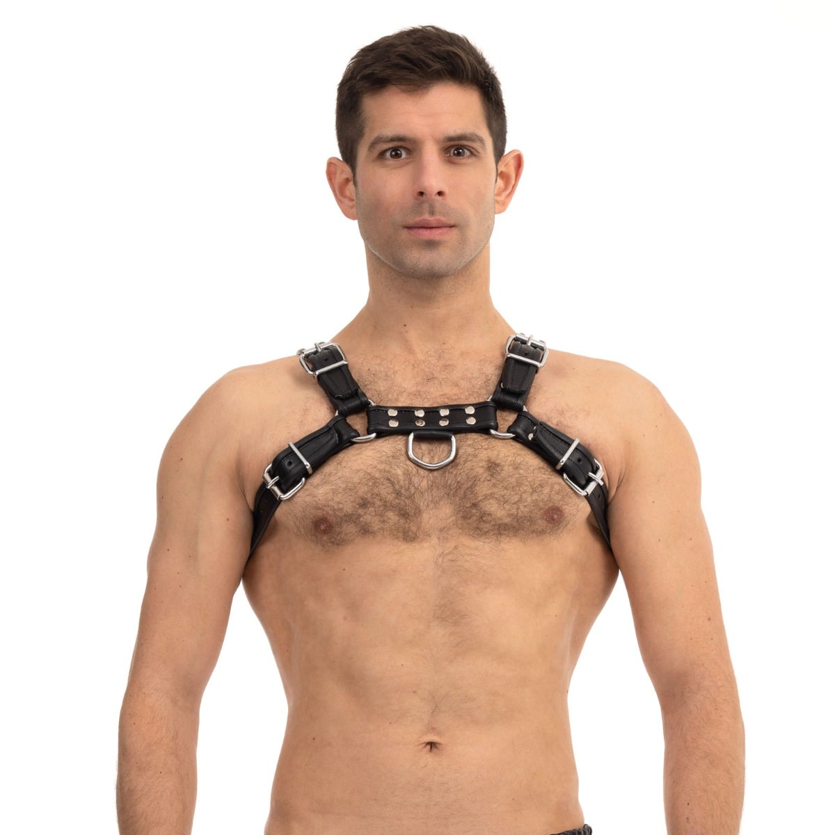 Prowler RED Bull Harness Black Medium