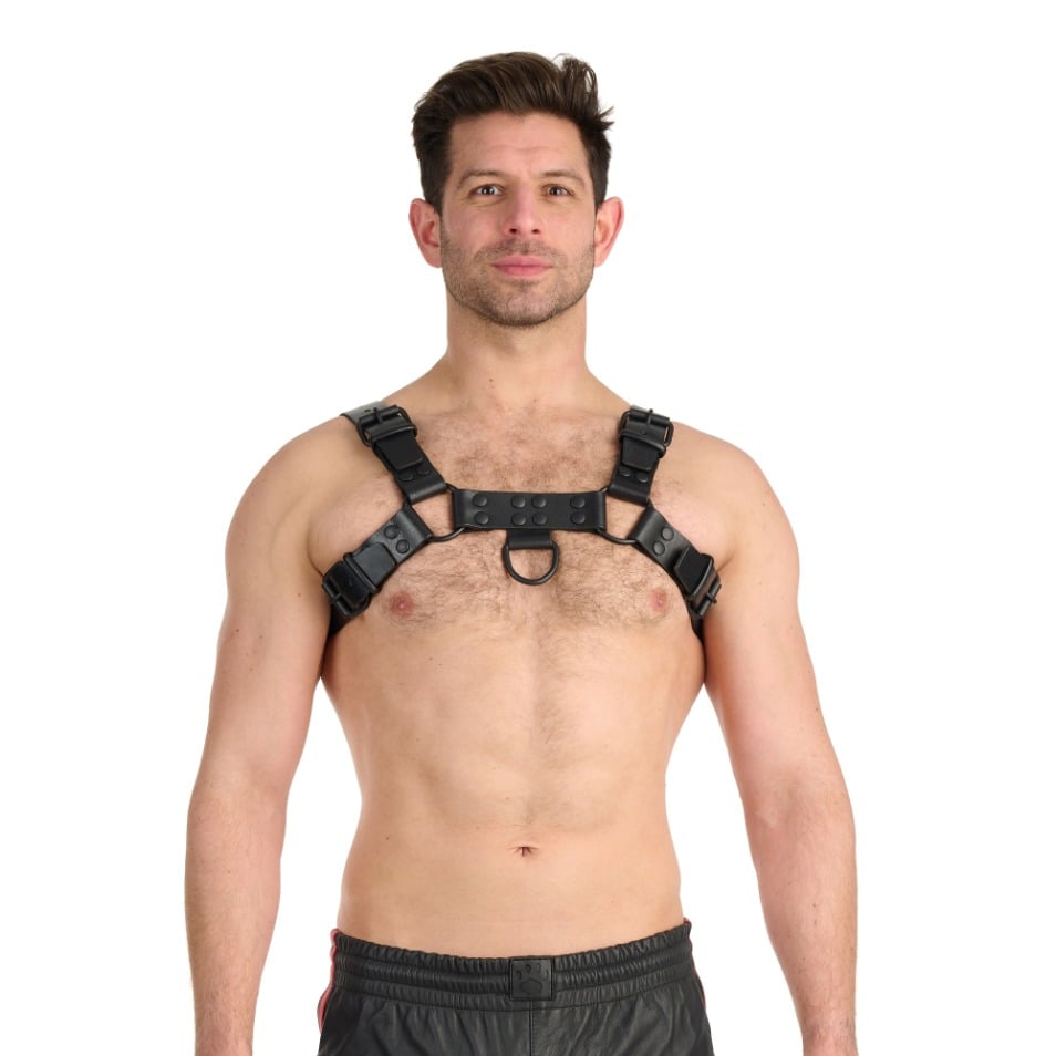 Prowler RED Noir Harness Black XL
