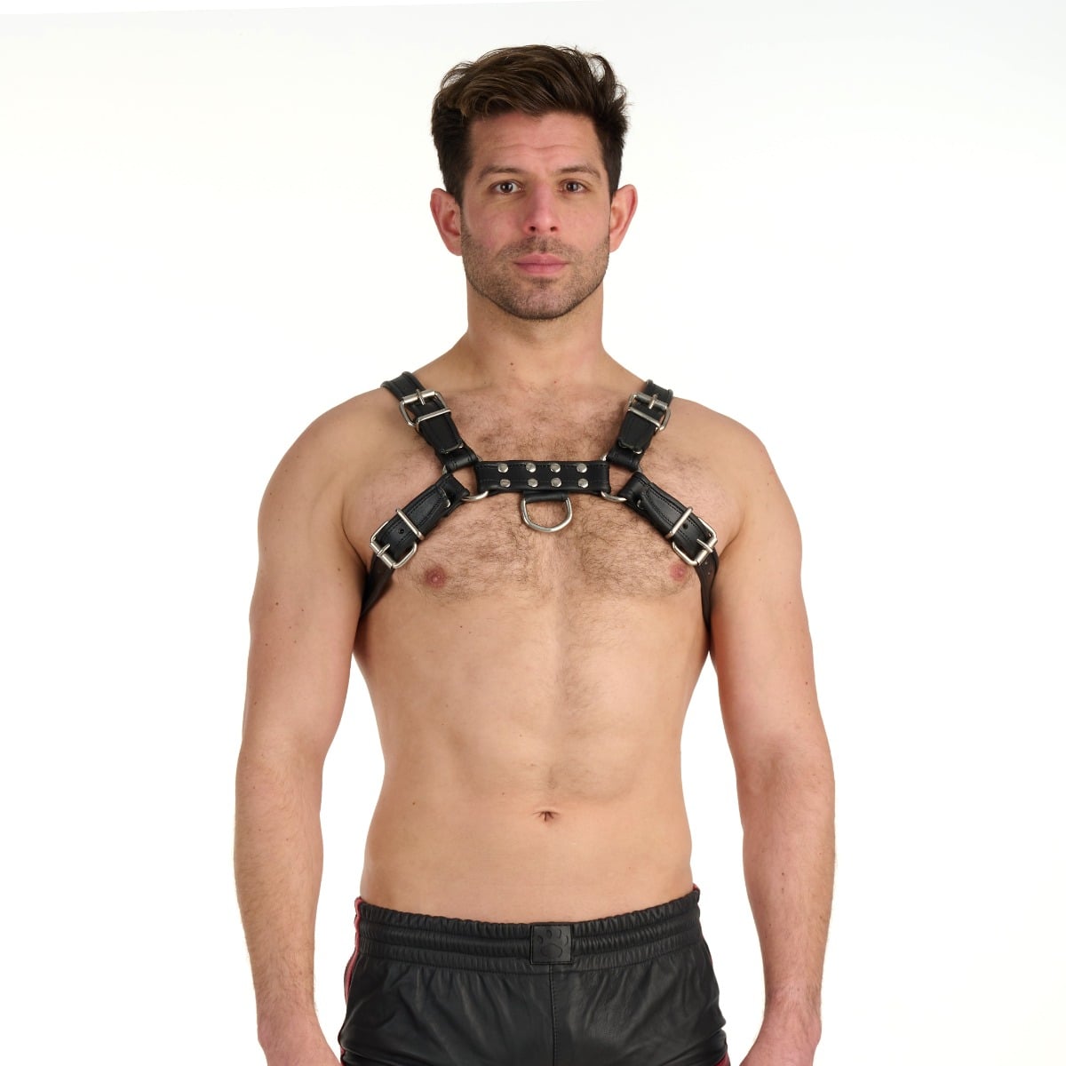 Prowler RED Bull Harness Black Small